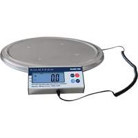 Keg Weighing Scale, 200 kg Capacity Waymarc Industries Inc