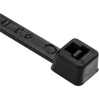 PA66 Cable Ties, 8" Long, 50 lbs. Tensile Strength, Black Waymarc Industries Inc