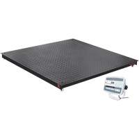 DEFENDER 5000 Floor Scale, 5000 lbs. Capacity, 48" W x 48" L Waymarc Industries Inc