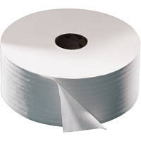 Advanced Toilet Paper, Jumbo Roll, 2 Ply, 751' Length, White JB564 | Waymarc Industries Inc