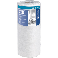 Kitchen Roll Towels, 2 Ply, 210 Sheets/Roll, 11" W, 9" L x JB580 | Waymarc Industries Inc