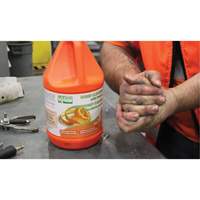 Nettoyant pour les mains à l'orange, Pierre ponce, 3,6 L, Cruche, Orange JG223 | Waymarc Industries Inc