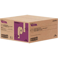 Papier hygi&eacute;nique Pro Select, Rouleau G&eacute;ant, 2 Pli, Longueur 500', Blanc Waymarc Industries Inc