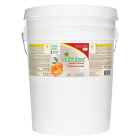Neutral Cleaner, 20 L, Pail Waymarc Industries Inc