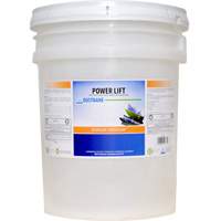 D&eacute;graissant industriel Power Lift, 20 L, Seau Waymarc Industries Inc