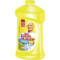 Summer Citrus All-Purpose Cleaner, Bottle JI651 | Waymarc Industries Inc