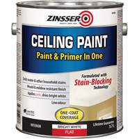Peinture et appr&ecirc;t pour plafond en un seul produit, Blanc, Tr&egrave;s mat, 3,78 L, Gallon Waymarc Industries Inc