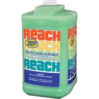 Reach Extra Heavy-Duty Hand Cleaner, Pumice, 3.78 L, Jug, Scented JL659 | Waymarc Industries Inc