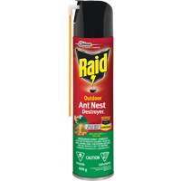 Raid<sup>®</sup> Outdoor Ant Nest Destroyer Insecticide, 400 g, Aerosol Can JM262 | Waymarc Industries Inc