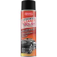 Instant Detailer Cleaner & Polish Waymarc Industries Inc