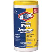 Disinfecting Wipes, 75 Count JO242 | Waymarc Industries Inc