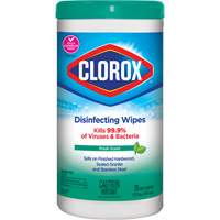 Disinfecting Wipes, 75 Count JO324 | Waymarc Industries Inc