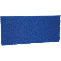 Medium Scrub Pad, 10" L x 4-1/2" W Waymarc Industries Inc