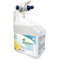 Concentrated Glass & Multi-Surface Cleaner, 4 L, Jug JP115 | Waymarc Industries Inc