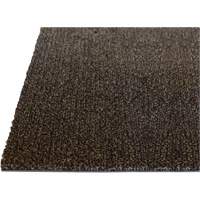 Tapis dint&eacute;rieur Palliser, Essuie-pieds/grattoir, 3-1/2' x 6' x 5/16", Anglis Waymarc Industries Inc