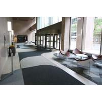Tapis dentr&eacute;e Supreme Knob, Essuie-pieds/grattoir, 3-1/2' x 6' x 7/16", Charbon Waymarc Industries Inc
