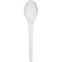Plantware Renewable and Compostable Spoon Waymarc Industries Inc