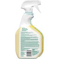 CloroxPro Clorox EcoClean All-Purpose Cleaner, 946 ml, Trigger Bottle Waymarc Industries Inc