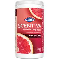 Disinfecting Wipes, 75 Count Waymarc Industries Inc