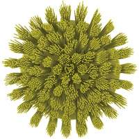 HyDrive Round Drill Brush, Extra Stiff Bristles, 3-1/10" Long, Yellow Waymarc Industries Inc
