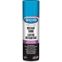 Pro Line Instant Shine for Plastic Surfaces, 11 oz., Aerosol Can Waymarc Industries Inc