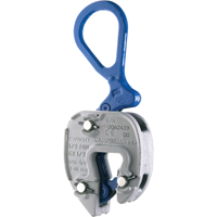 Pinces de levage universelles 180° 