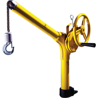 Standard Industrial Lifting Device, 500 lbs. (0.25 tons) Capacity Waymarc Industries Inc