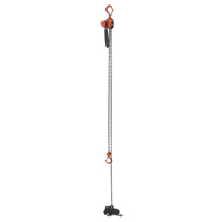 Mini palan &agrave; levier, Lev&eacute;e 15', Cabacit&eacute; 500 lb (0,25 tonne), Chaîne en Acier Waymarc Industries Inc