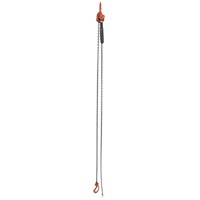Mini palan &agrave; levier, Lev&eacute;e 10', Cabacit&eacute; 1000 lb (0,5 tonne), Chaîne en Acier Waymarc Industries Inc
