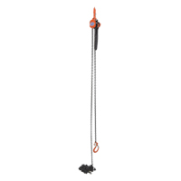 Mini palan &agrave; levier, Lev&eacute;e 15', Cabacit&eacute; 1000 lb (0,5 tonne), Chaîne en Acier Waymarc Industries Inc