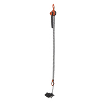 Mini palan &agrave; levier, Lev&eacute;e 15', Cabacit&eacute; 1000 lb (0,5 tonne), Chaîne en Acier Waymarc Industries Inc