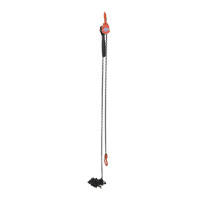 Mini palan &agrave; levier, Lev&eacute;e 15', Cabacit&eacute; 1000 lb (0,5 tonne), Chaîne en Acier Waymarc Industries Inc