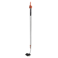 Mini palan &agrave; levier, Lev&eacute;e 20', Cabacit&eacute; 1000 lb (0,5 tonne), Chaîne en Acier Waymarc Industries Inc
