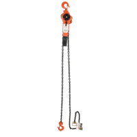 Lever Chain Hoist, 5' Lift, 3000 lbs. (1.5 tons) Capacity, Alloy Steel Chain Waymarc Industries Inc
