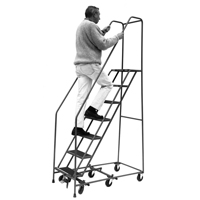 All Directional Ladders, 6 Steps, 16" Step Width, 60" Platform Height, Steel Waymarc Industries Inc
