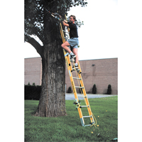 Industrial Heavy-Duty Extension Ladders (6200 Series), 375 lbs. Cap., 13' H, Grade 1AA Waymarc Industries Inc