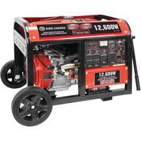 Gasoline Generator with Electric Start, 12600 W Surge, 9000 W Rated, 120 V/240 V, 31 L Tank Waymarc Industries Inc