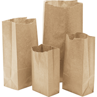 Paper Bags, Paper, 3" W x 5-7/8" L NG397 | Waymarc Industries Inc