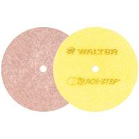 Quick-Step Instant Polish Discs, 5" Dia. Waymarc Industries Inc