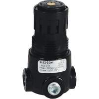 Wilkerson Miniature Regulator R03, 1/8" NPT, 300 psi Max. PSI, Standard NJE833 | Waymarc Industries Inc