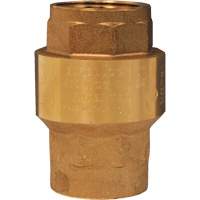 Horizontal Swing Check Valve Waymarc Industries Inc