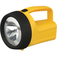 Lanterne flottante Readyflex de EverReady, DEL, 80 Lumens, Piles D Waymarc Industries Inc
