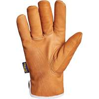 Endura&reg; Gloves, Large, Synthetic Palm, Thinsulate Inner Lining Waymarc Industries Inc