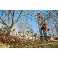 3-in-1 VacPack Leaf Blower/Vacuum/Mulcher, 250 MPH Output, Electric Waymarc Industries Inc