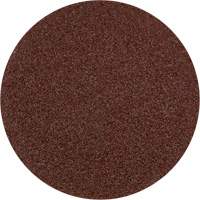 Lock Back Sanding Discs