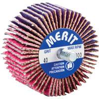 Threaded Mini Flap Wheel, Ceramic Alumina, 40 Grit, 2" x 1" x 1/4"-20 Waymarc Industries Inc