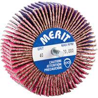 Threaded Mini Flap Wheel, Ceramic Alumina, 40 Grit, 3" x 1" x 1/4"-20 Waymarc Industries Inc