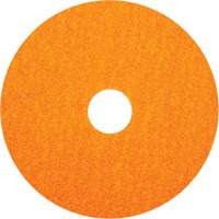 BlazeX F980 Fiber Disc, Ceramic Alumina, 36, 5" Dia x 7/8" Arbor Waymarc Industries Inc
