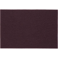 Tampons manuels Bear-Tex, Oxyde d'aluminium, 6" x 9", Grain Tr&egrave;s fin Waymarc Industries Inc