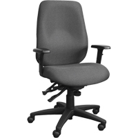 Cierra Ergonomic Chairs, Fabric, Grey, 250 lbs. Capacity Waymarc Industries Inc